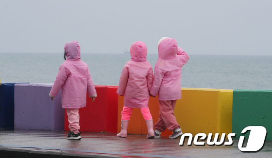 비 내리는 제주/뉴스1