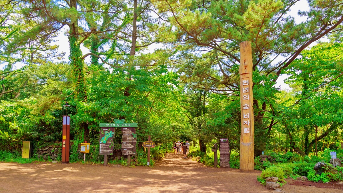 제주