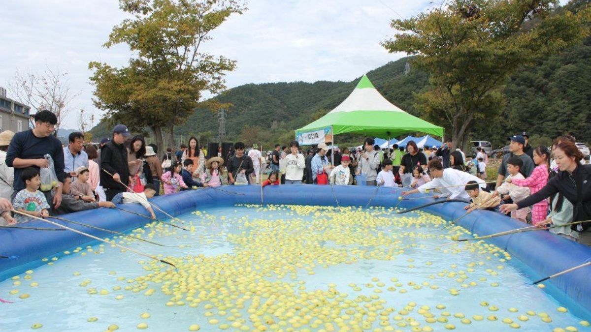 출처 : ⓒ한국관광공사 (성주가야산황금들녘메뚜기축제)