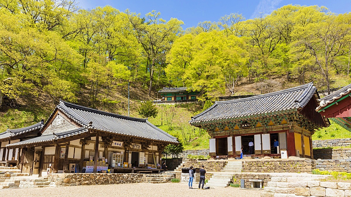 충남