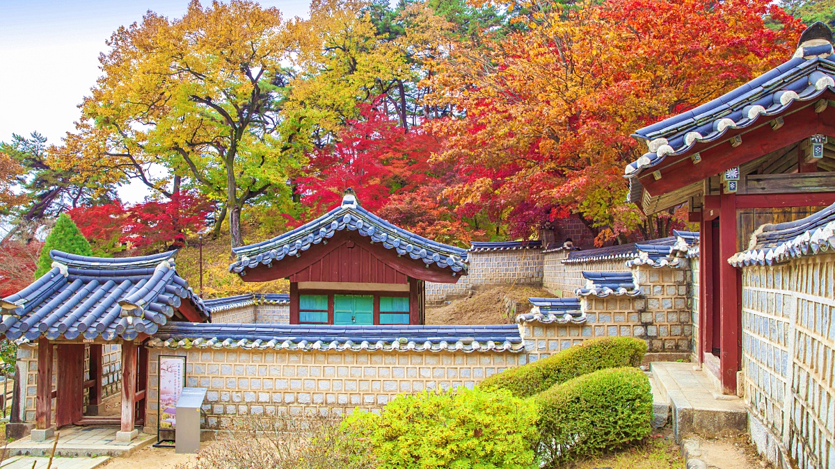 유네스코