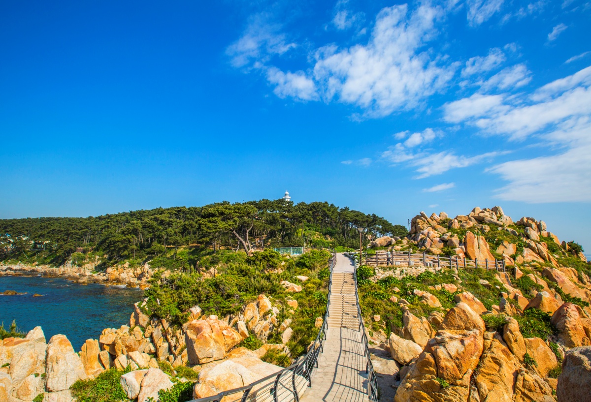 출렁다리