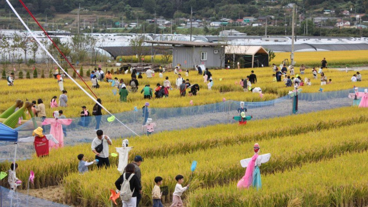 출처 : ⓒ한국관광공사 (성주가야산황금들녘메뚜기축제)