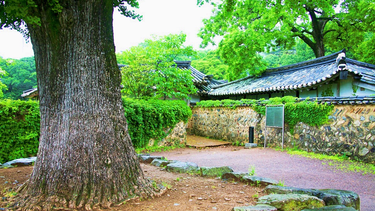 고택