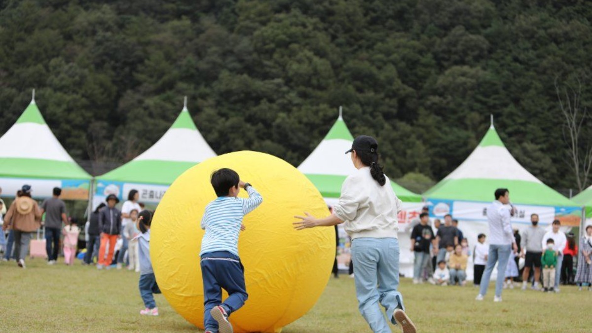 출처 : ⓒ한국관광공사 (성주가야산황금들녘메뚜기축제)