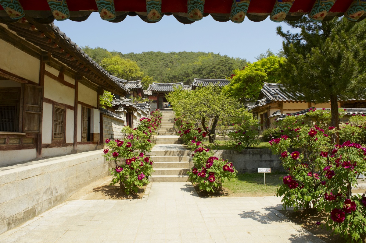 유네스코