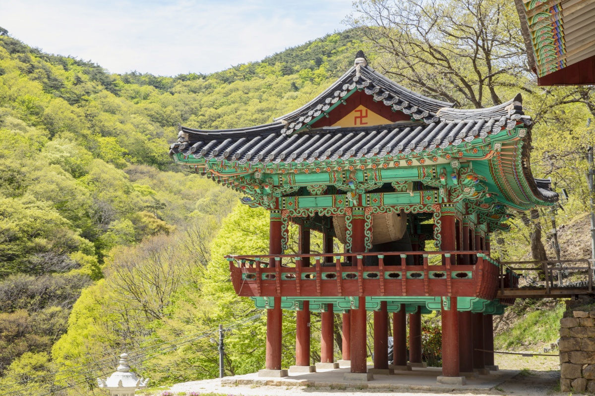 충남