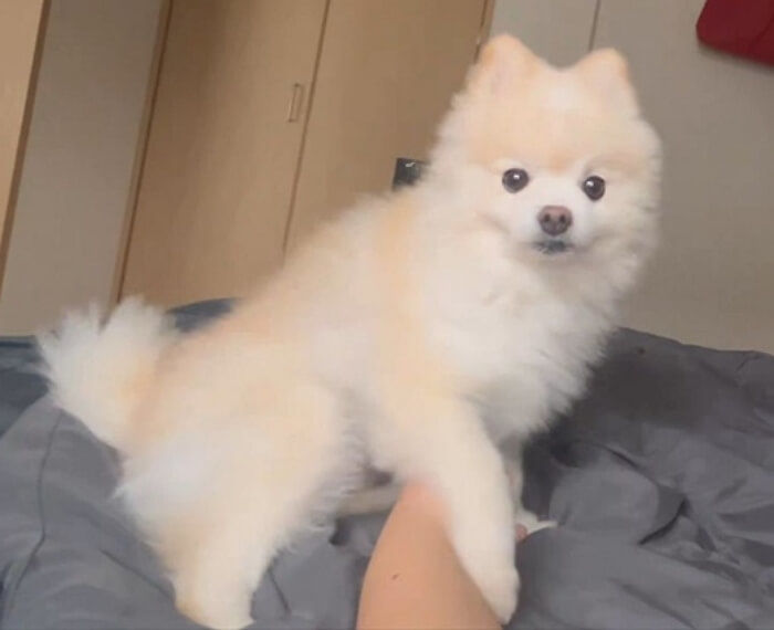 애니멀플래닛