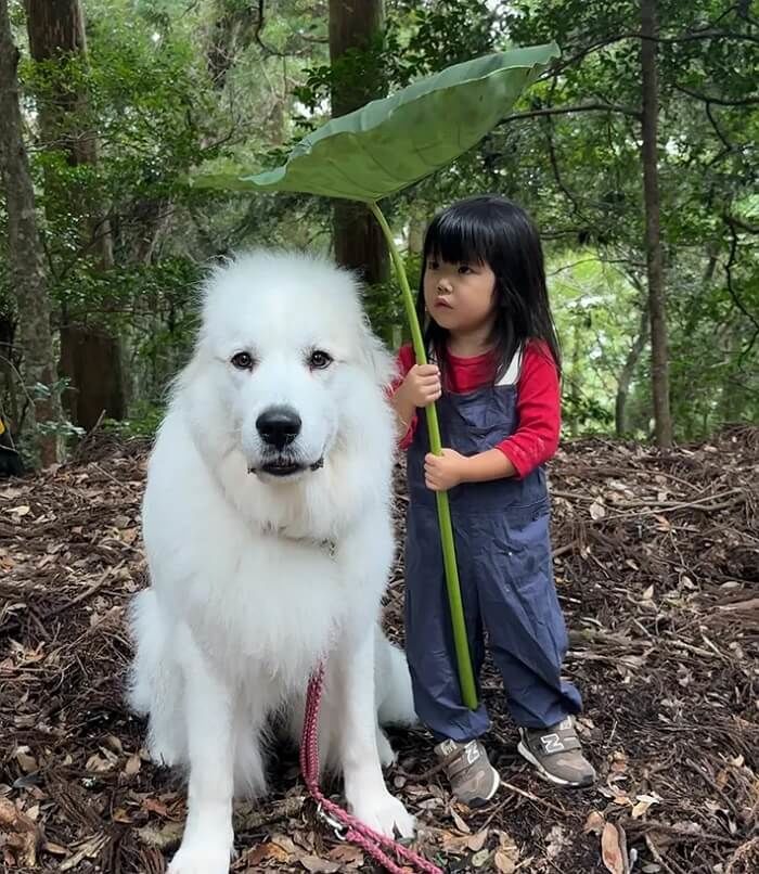 애니멀플래닛