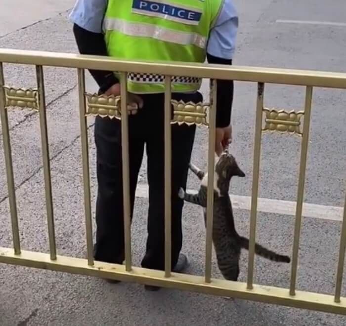 애니멀플래닛