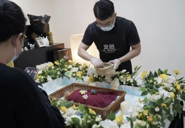 애니멀플래닛
