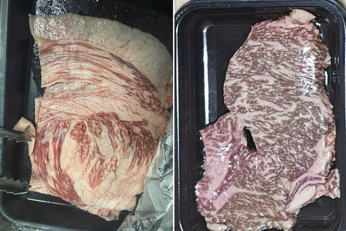 애니멀플래닛