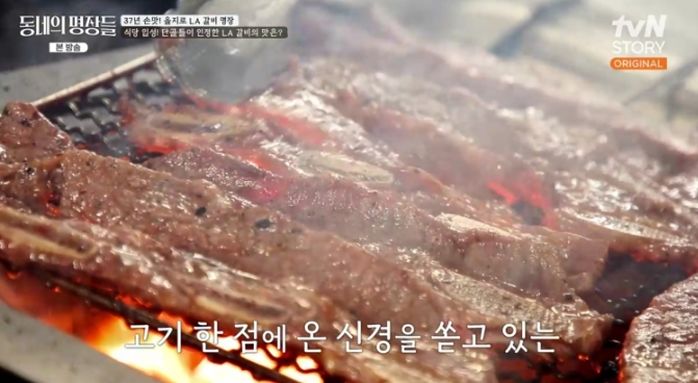 애니멀플래닛