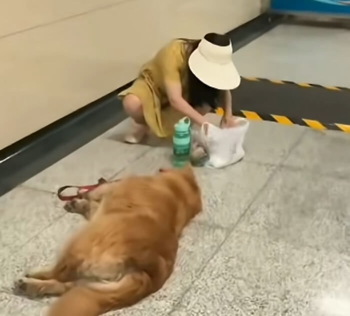 애니멀플래닛