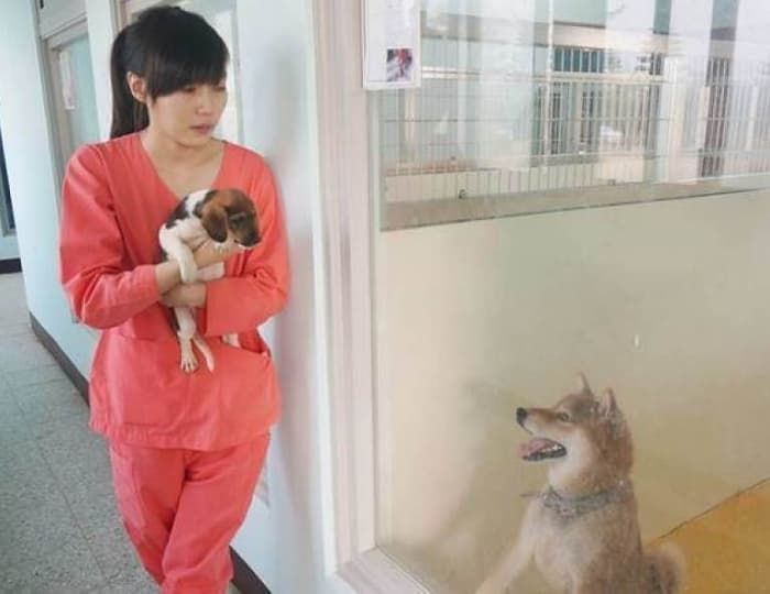 애니멀플래닛