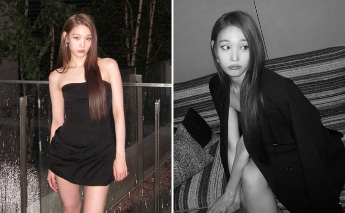 애니멀플래닛