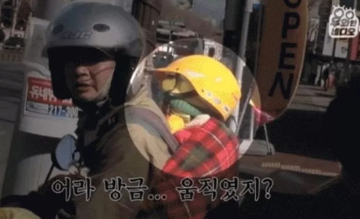 애니멀플래닛