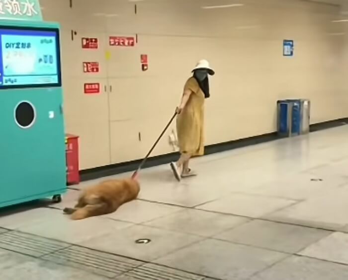 애니멀플래닛