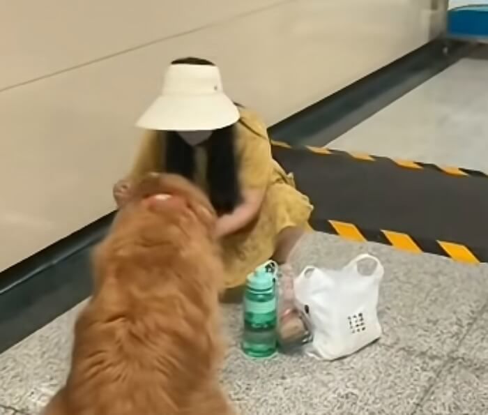 애니멀플래닛