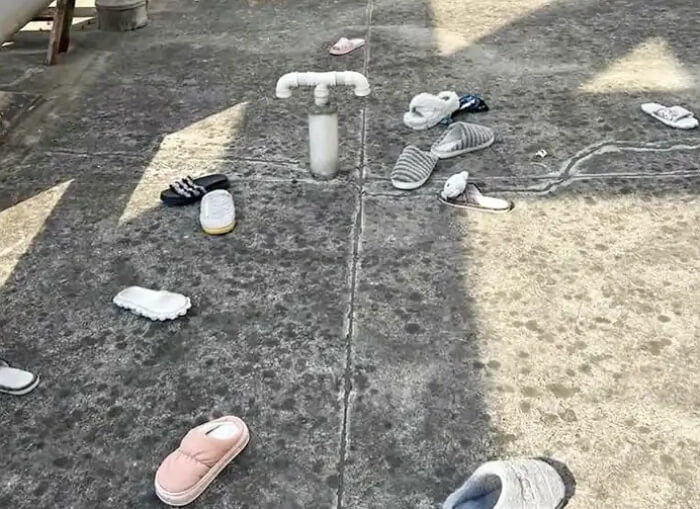 애니멀플래닛