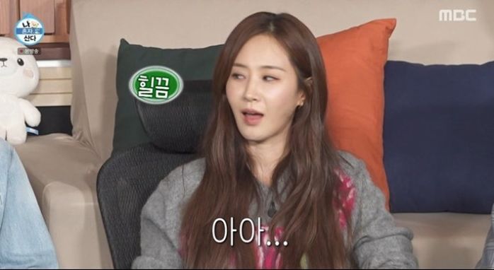 애니멀플래닛