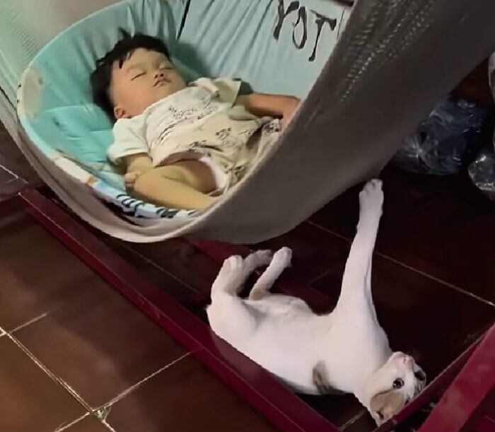 애니멀플래닛