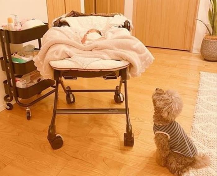 애니멀플래닛