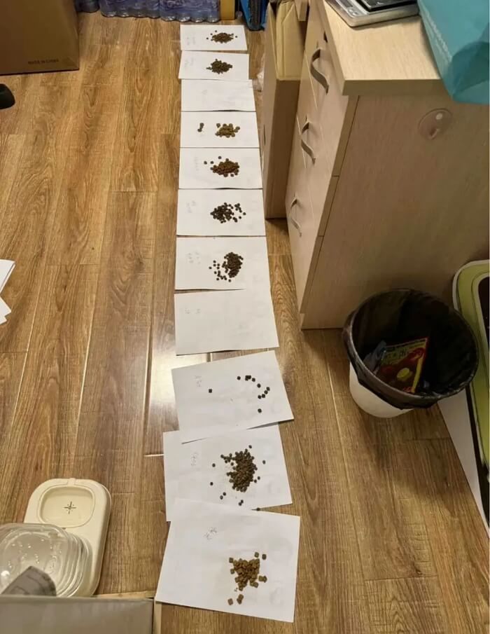 애니멀플래닛