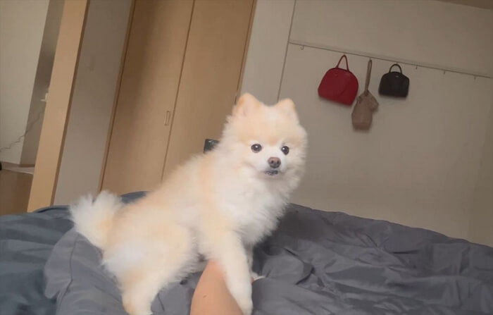 애니멀플래닛