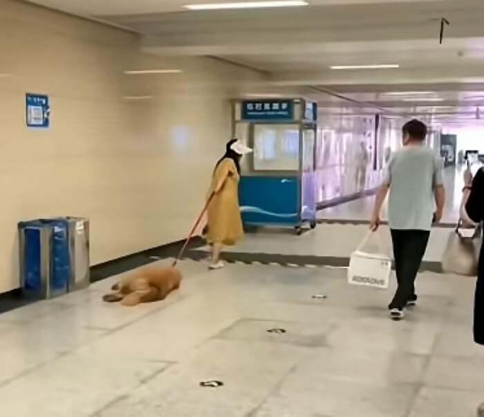 애니멀플래닛
