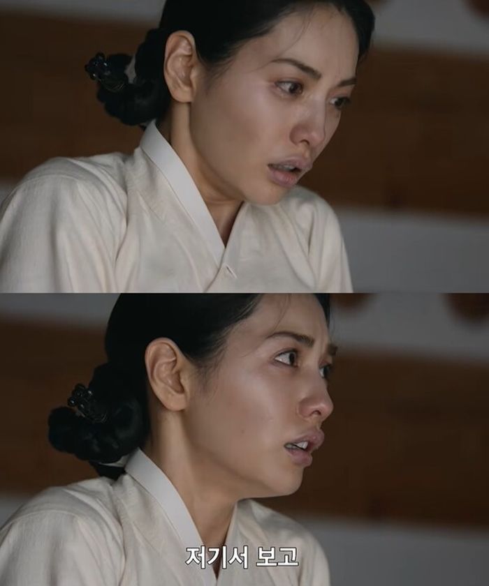 애니멀플래닛