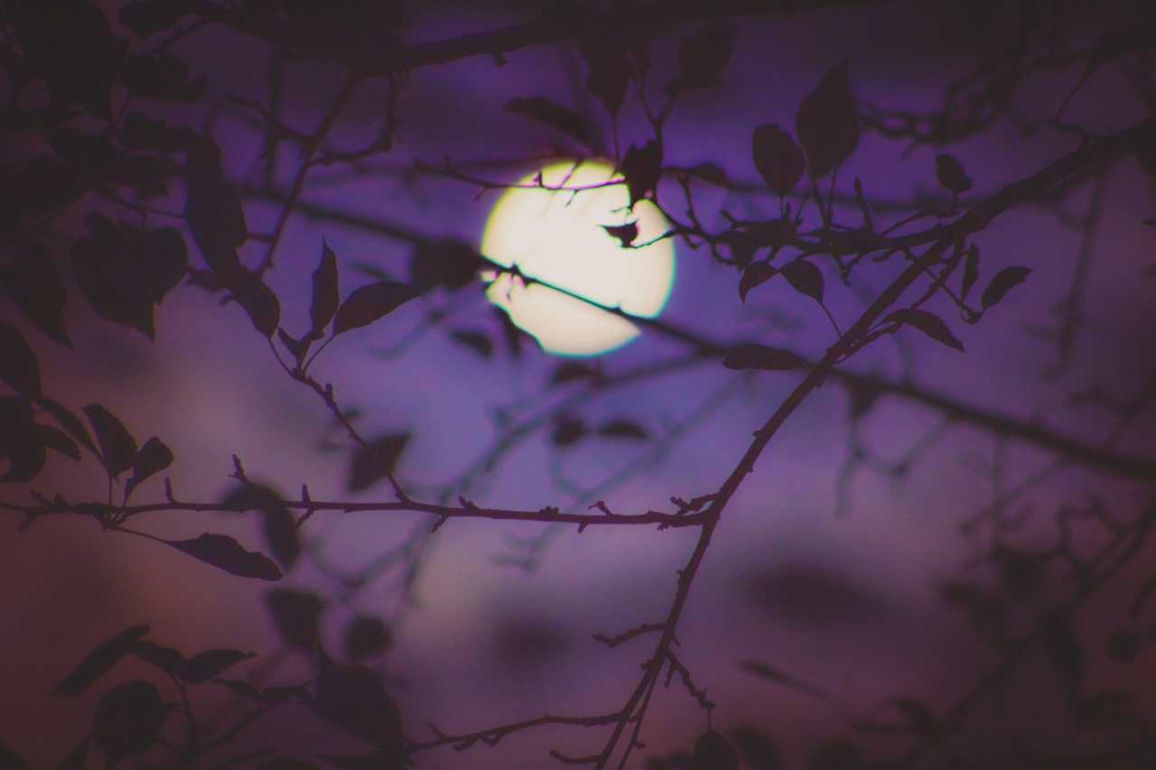 어디서 기다릴까요? / 사진=unsplash
