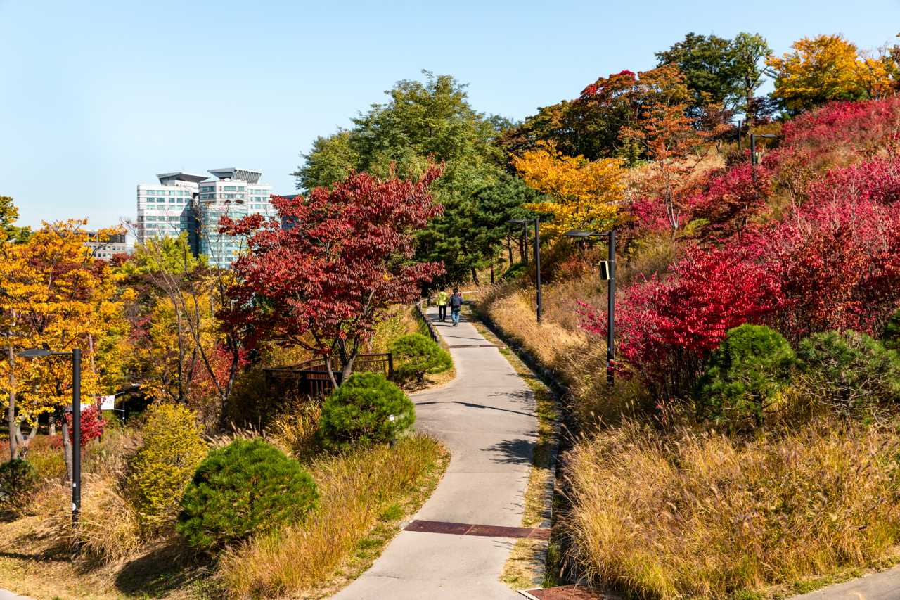 남산 북측순환로 가을 단풍 산책로 / 사진=서울관광재단