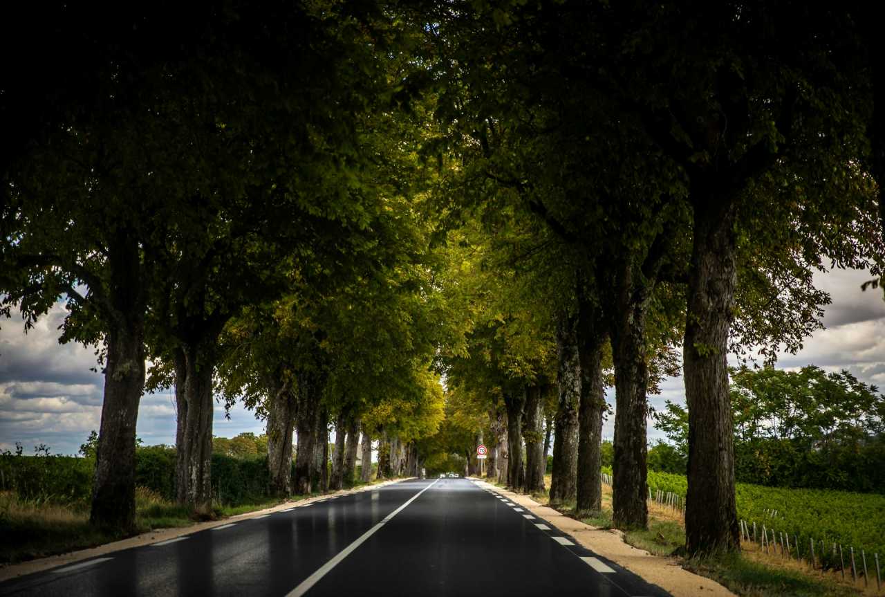 프스이 국민코스 10박 12일 일정 / 사진=unsplash