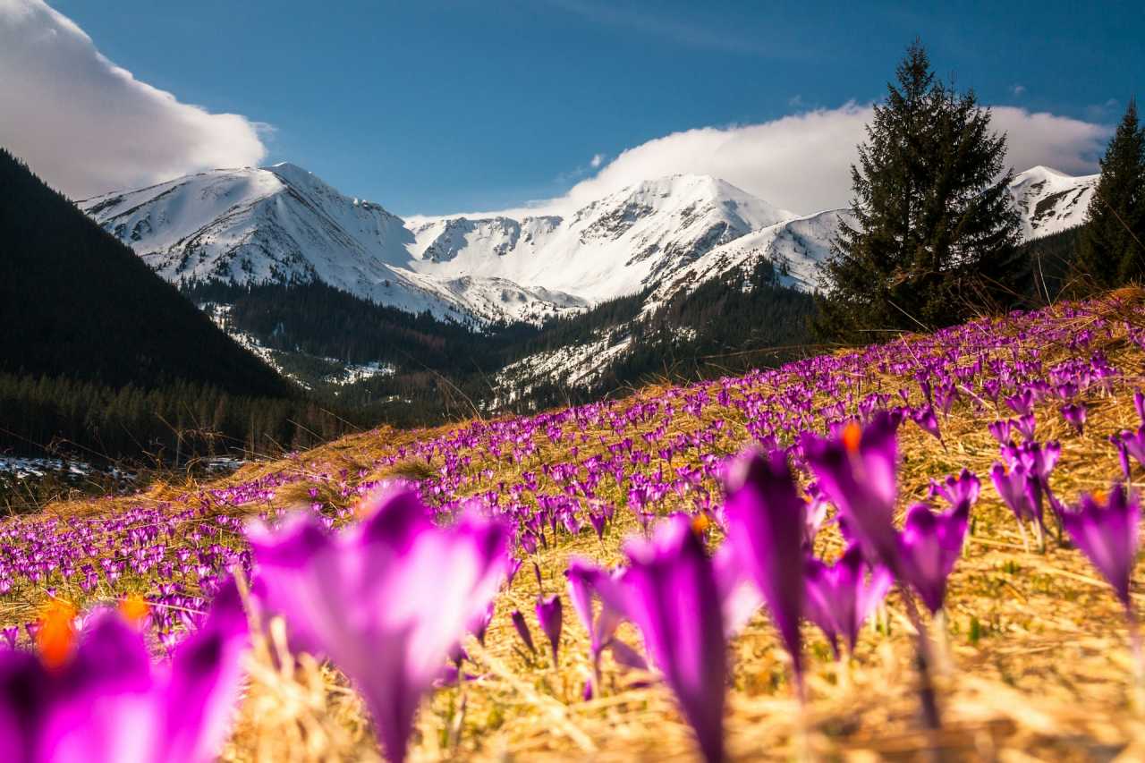 동유럽 자유여행 코스 추천 / 사진=unsplash