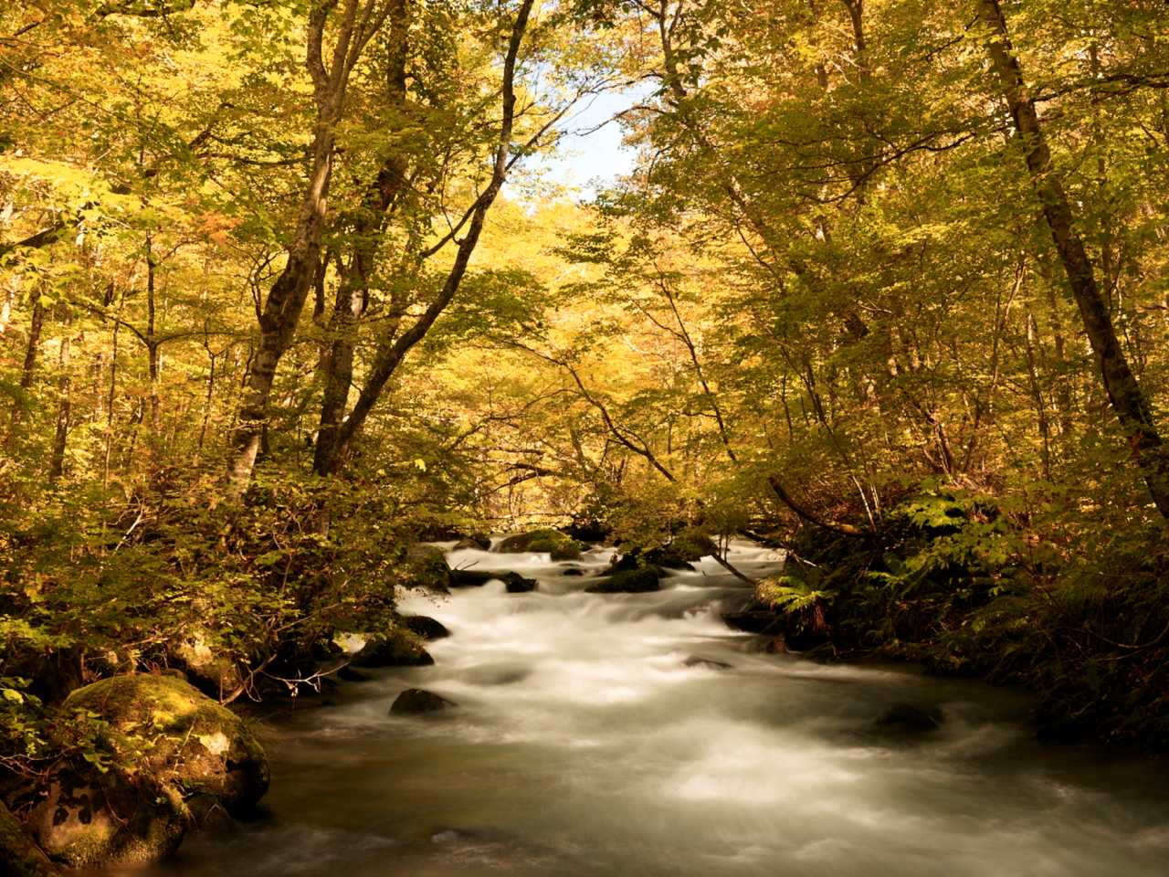 단풍 절경 산책