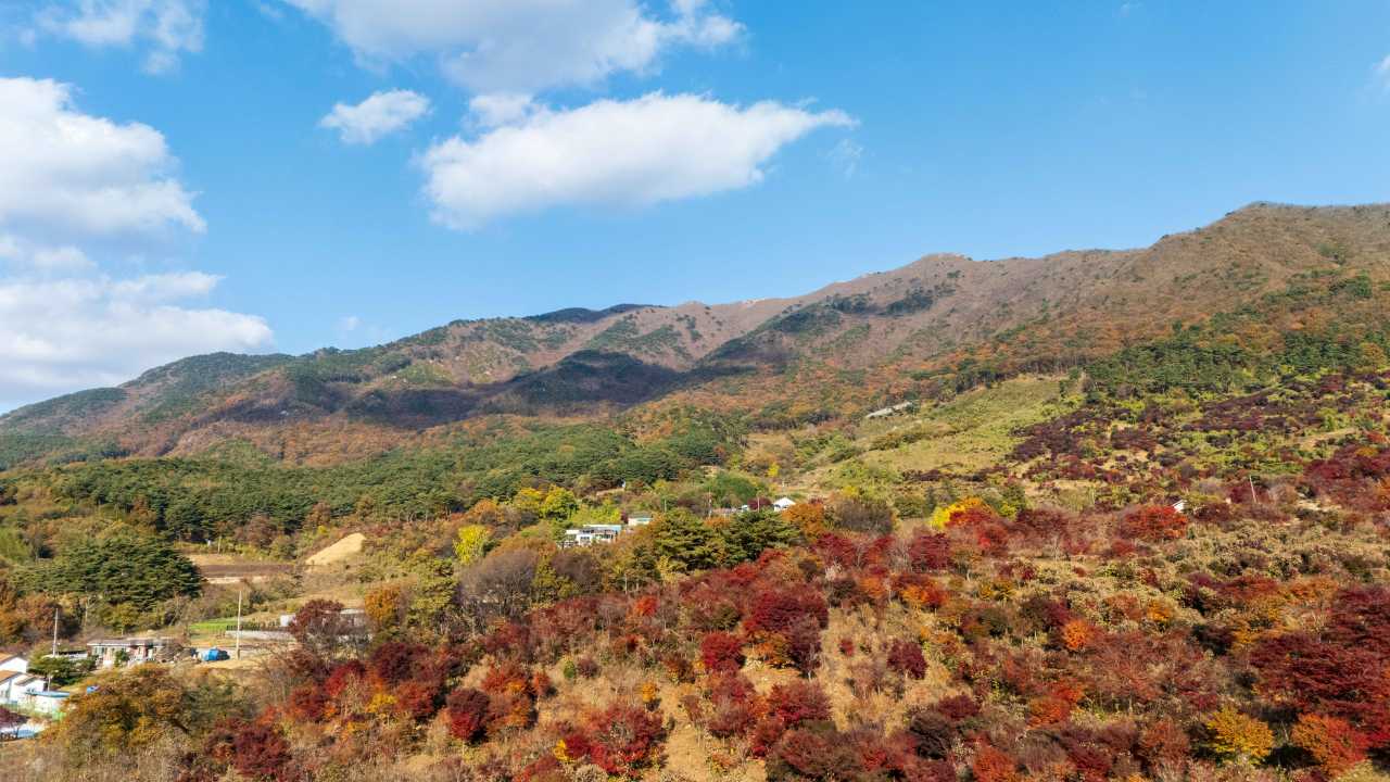 오서산 억새밭 백패킹 / 사진=한국관광공사 포토코리아@김석태