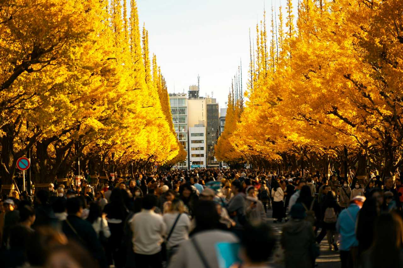 도쿄 가을 / 사진=UNSPLASH