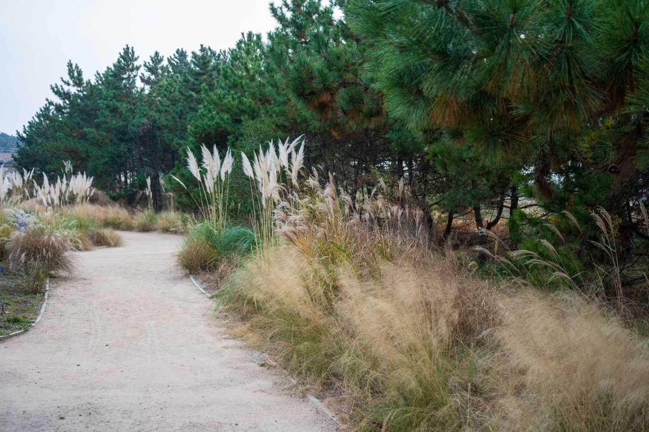 태안 천리포수목원 / 사진=한국관광공사 포토코리아@김지호