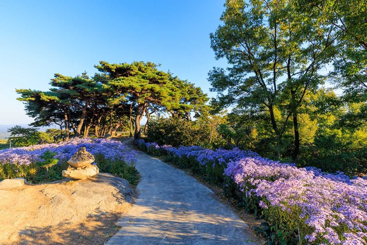 문경 가을 여행 코스도 추천 / 사진=한국관광공사