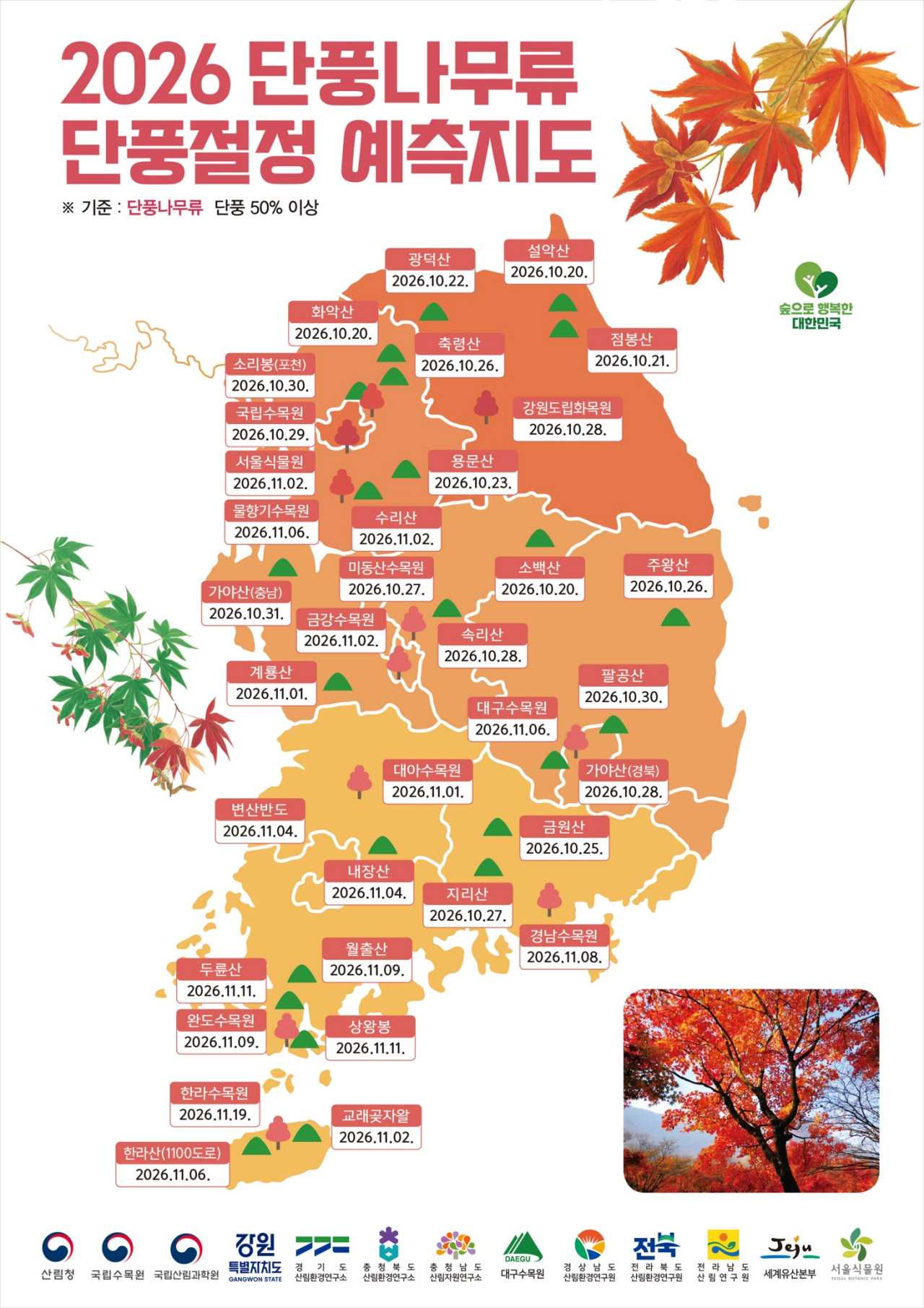 단풍나무류 예측지도 / 사진=산림청