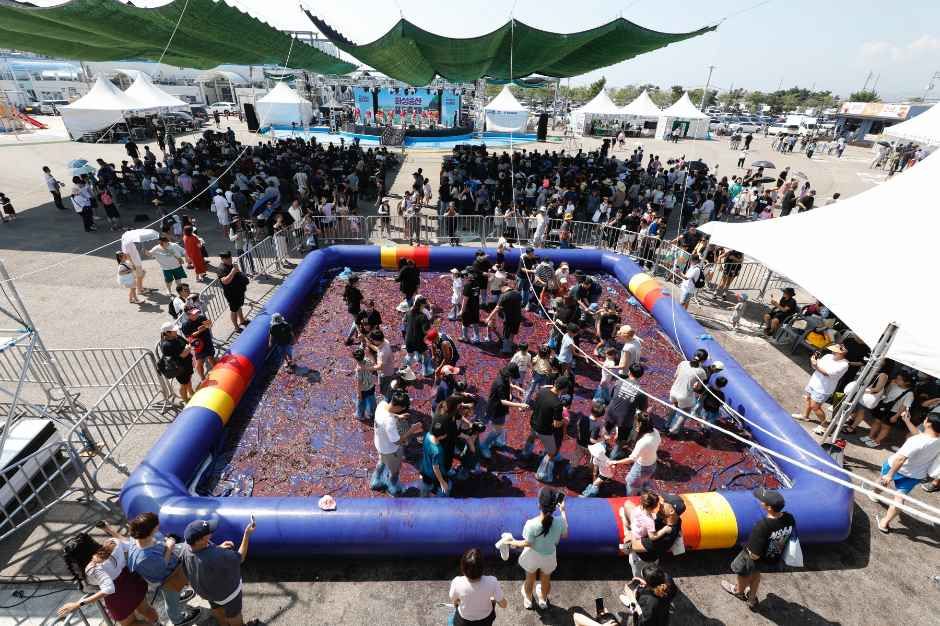 2026 화성송산포도축제는? / 사진=한국관광공사