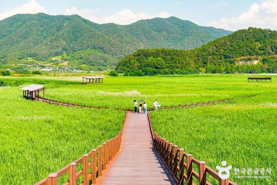 보기만 해도 기분 좋아지는 풍경 / 사진=한국관광공사