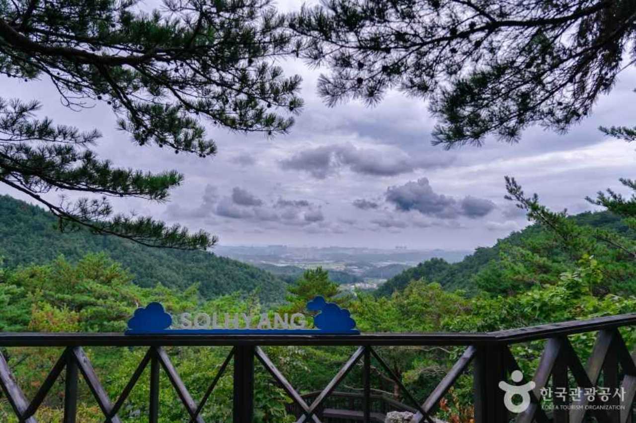 이게 무료? / 사진=한국관광공사