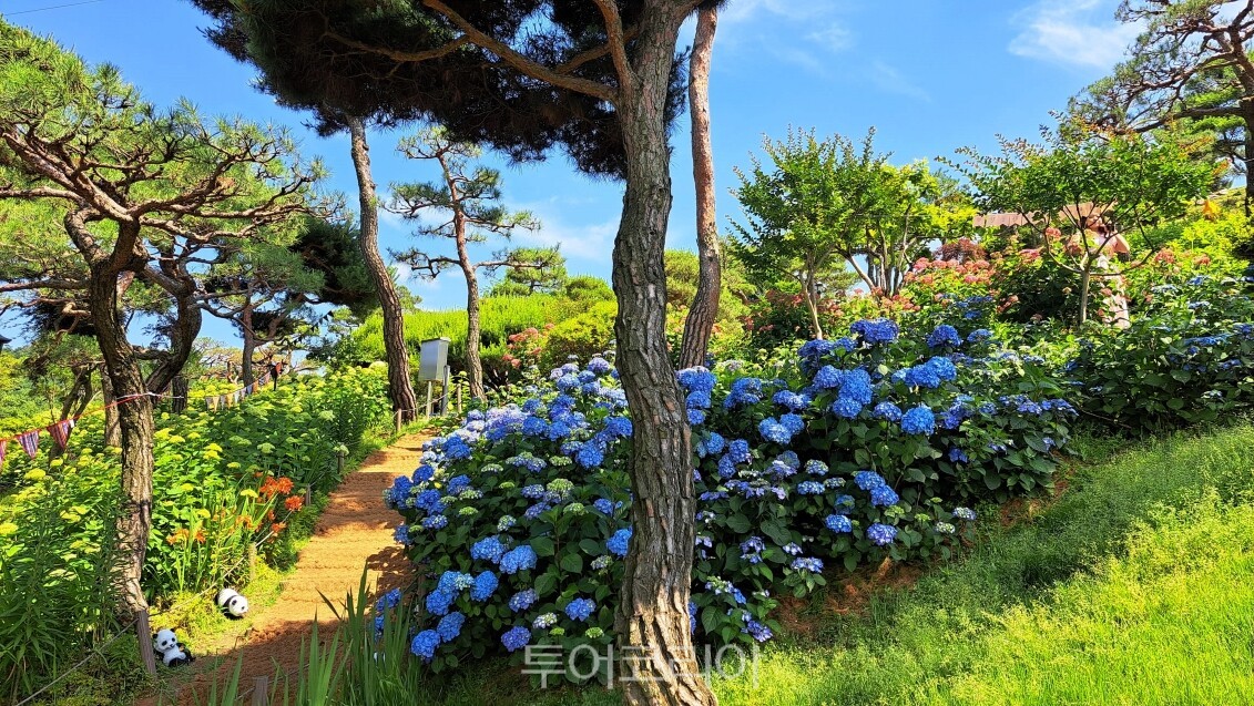 충청북도 청주시 공간정원 /사진-산림청