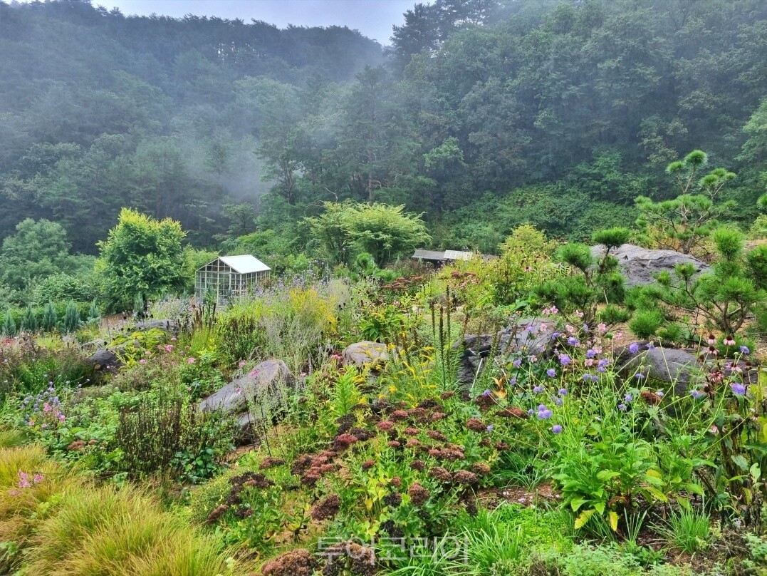 강원특별자치도 인제군 찍박골정원/사진-산림청