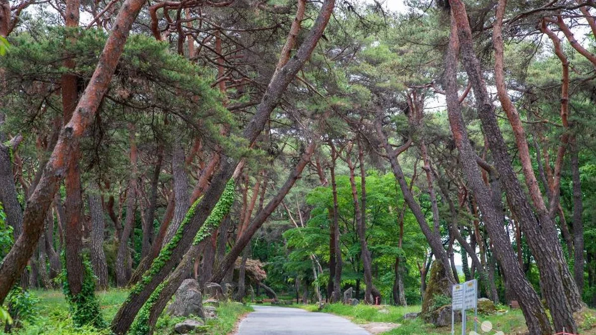 동호숲