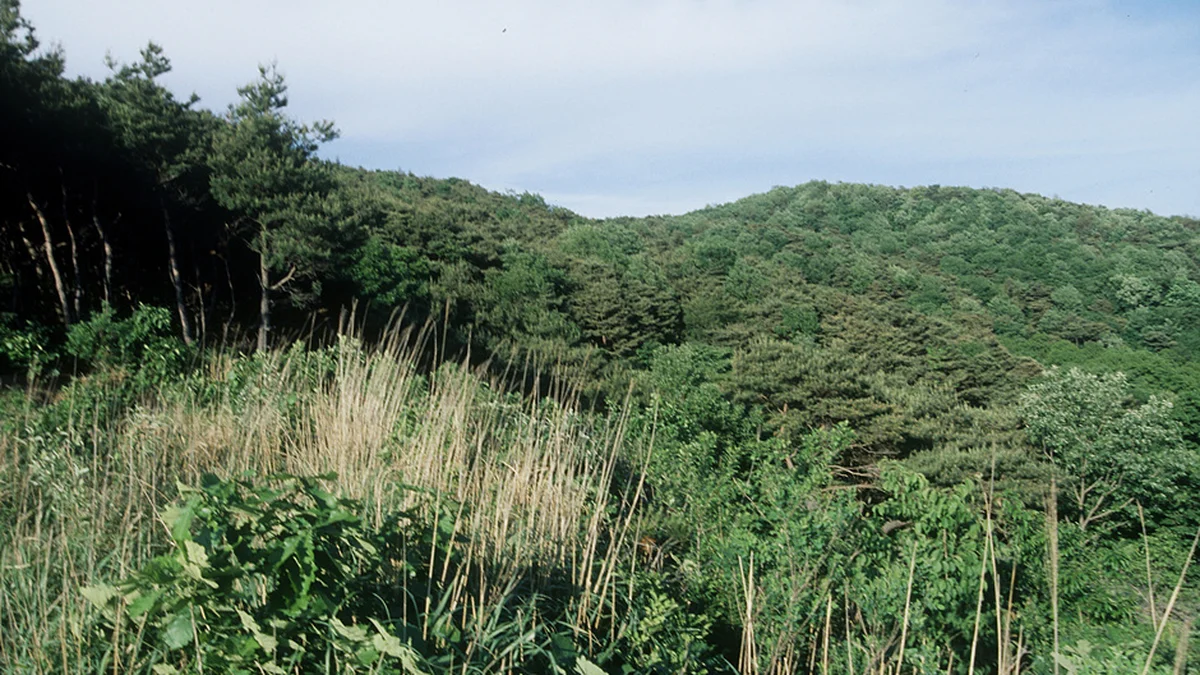 서운산성