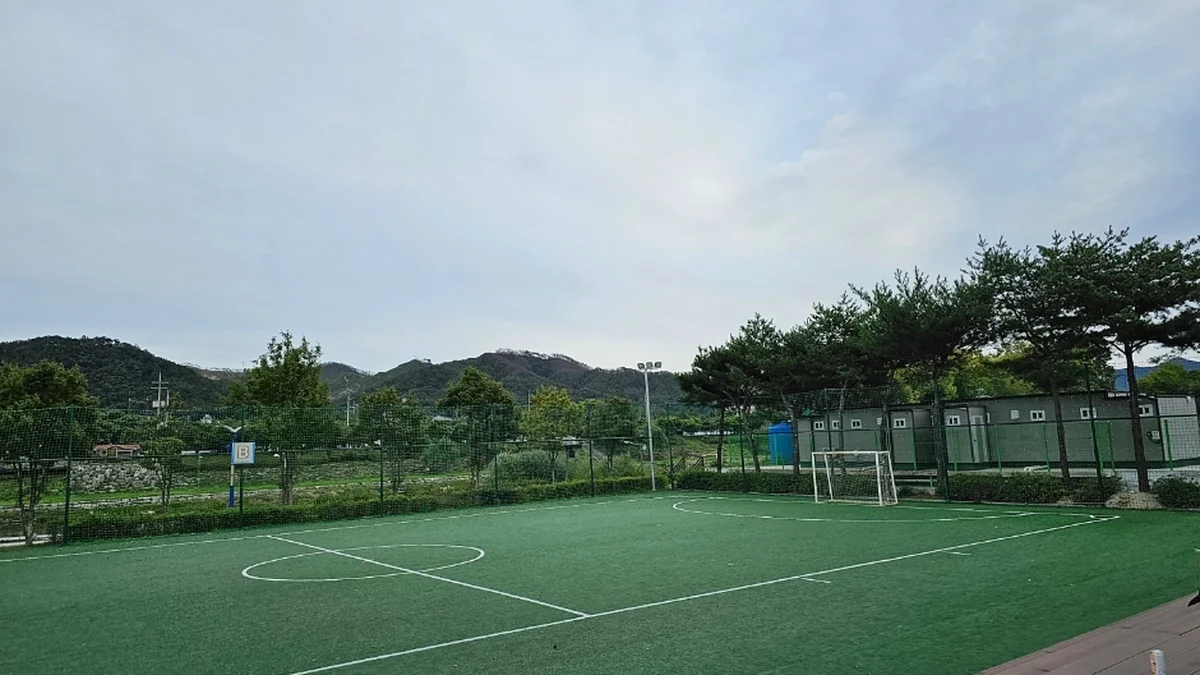 청춘양구레포츠공원