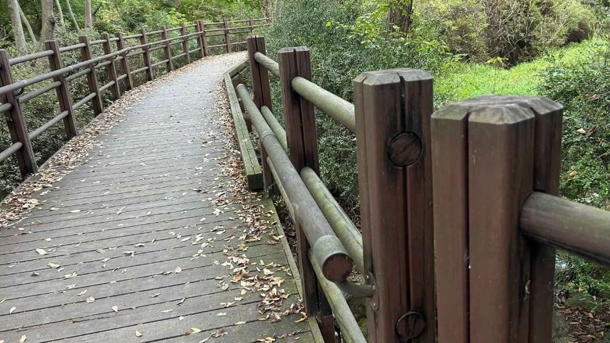 인천대공원 치유숲길
